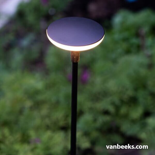 in-lite Sway Light Head